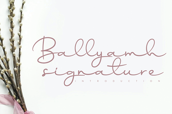 Ballyamh Signature: A Font That Elevates Web Design