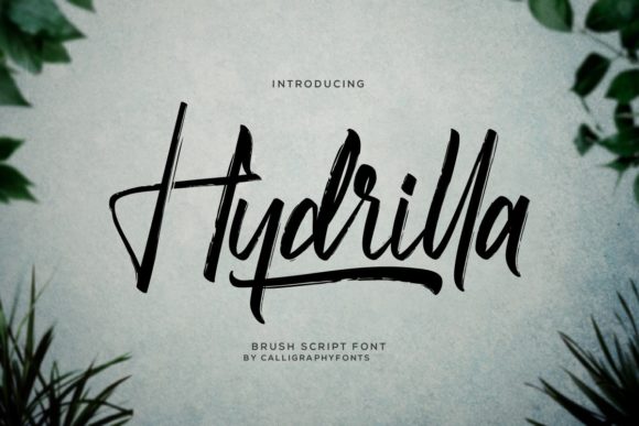 Hydrilla: A Script Font for Elegant Editorial Design