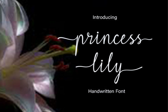 Princess Lily: A Font That Transformed My Brand's Visual Identity